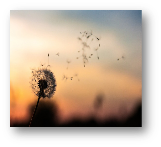 We Are Generous — centering reading illustration